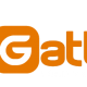 Image result for gatling.io